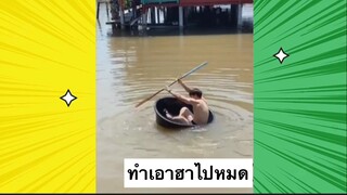 เรื่องตลกสุดฮา : ทำเอาฮาไปหมด