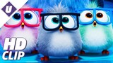 The Angry Birds Movie 2 (2019): "Take Your Hatchlings to Work Day" - Official Clip