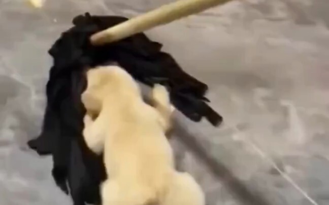 “Tag the cutest girl in the world to come check this out!”