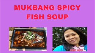 MUKBANG SPICY FISH SOUP || FISH SOUP || ANAJOIE’s vlogs