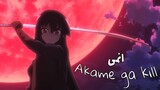 كيف تقتل كل الابطال فى 24 حلقة بدون روت | قصة اكامى جا كيل النصف الاول | akame ga kill