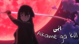 كيف تقتل كل الابطال فى 24 حلقة بدون روت | قصة اكامى جا كيل النصف الاول | akame ga kill