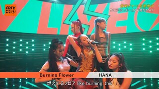 HANA - Burning Flower [2025.06.23]