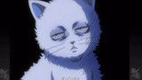 [Clip hài hước Gintama] Bí mật của Gintama và bộ tóc giả biến thành mèo