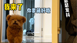玩个捉迷藏，怎么还生气了？