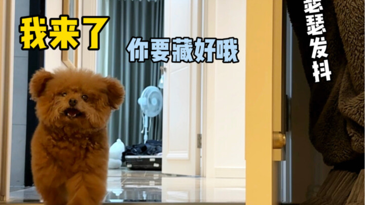 玩个捉迷藏，怎么还生气了？