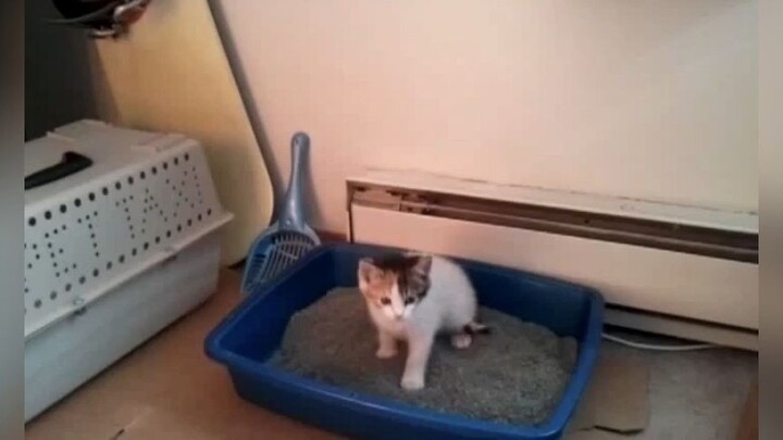 Lần đầu vào chỗ nằm mới cảm giác có hơi bỡ ngỡ :3