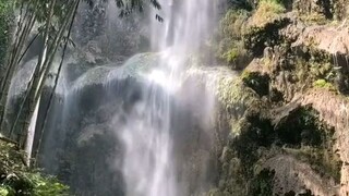 PH
