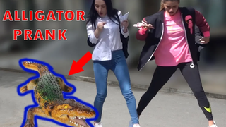 เล่นตลกจระเข้ควบคุมระยะไกล 2019 - ปฏิกิริยาที่ยอดเยี่ยม - ดีที่สุดสำหรับหัวเราะ