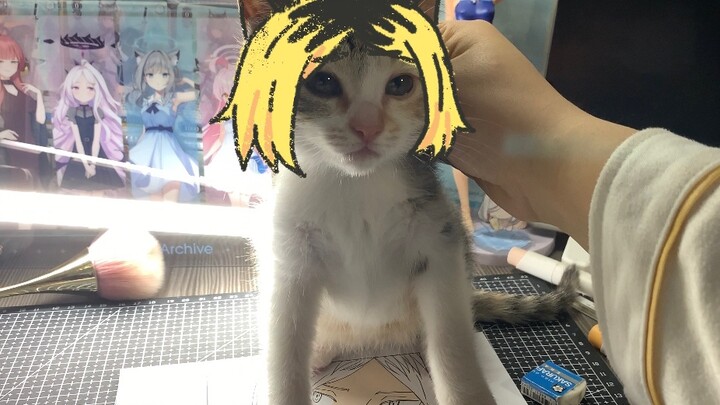 While I was drawing, a grinding cat appeared.