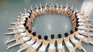 Vui chơi trong phòng tập ballet