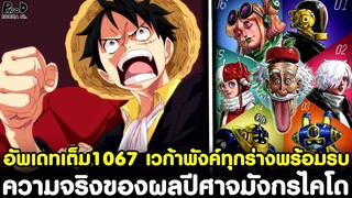 อัพเดทเต็มวันพีช1067 - ความจริงของผลปีศาจมังกรในตำนานไคโด & เวก้าพังค์ทุกร่างพร้อมรบ [KOMNA CHANNEL]