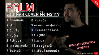รวมเพลงCover Palm รวมเพลงCoverกีต้าร์เพราะๆ ฟังสบายๆ ไม่มีโฆษณา