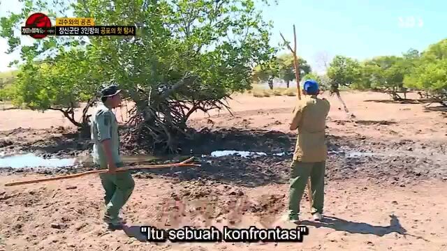 law of the jungle in komodo indonesia ep 276