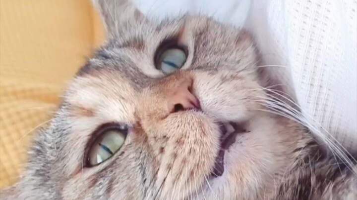 «لا تضحك إن رأيتني سكرانًا بين أحضان أمي، فالإناء مخلوط بالكثير من الماء»