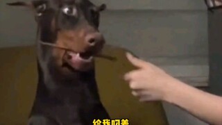 Doggy: You know, I lost my mom when I was little.