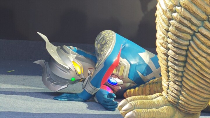 ⚠️Volume warning⚠️Ultraman Zero vs Red King (11.24 Shanghai Bandai Carnival)