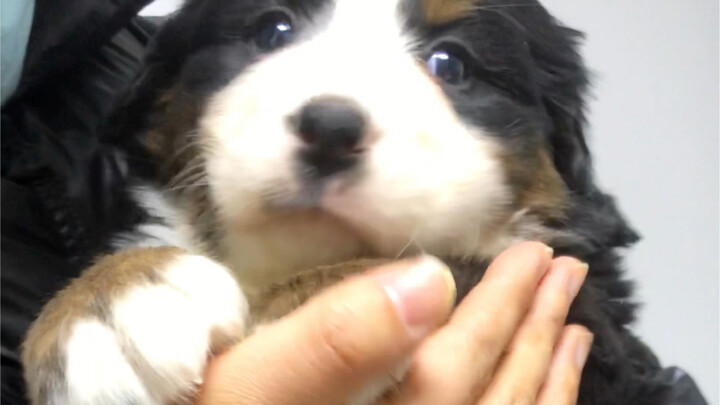 Look how upset the kid is… they’re about to start talking!