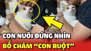 "CON GÁI RUỘT" và bố YÊU THƯƠNG NHAU bắt con nuôi QUAY PHIM lại 😂 | Yêu Lu