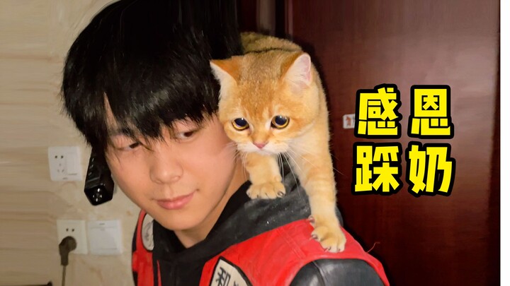 A handsome guy rescued a trapped golden shaded cat, and the cat acted coquettishly and stepped on hi