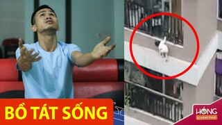 Những khoảnh khắc sống sót thần kỳ vô tình được camera ghi lại|Hóng Khám Phá