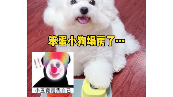 I was actually fooled by a dog for three years…
