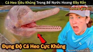 Đụng Độ Cá Heo Cực Khủng Giá Triệu Đô Trong Bể Nước Hoang Đầy Rắn || Review Giải Trí Đời Sống