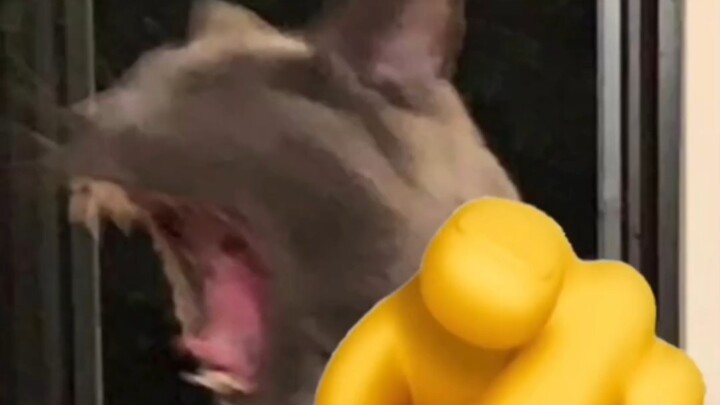 “Susah Banget”❼ (Versi Bersih)