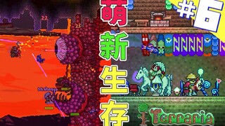 Terraria Survival 6