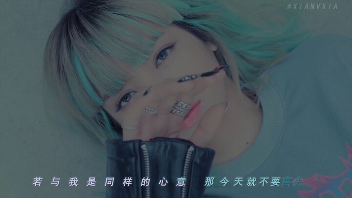 Black Pink - Stay Chinese Subtitles