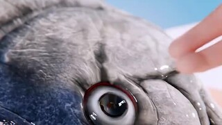 Khoa học phổ cập