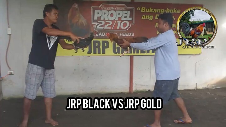 1x Winners JRP lines Bullstag!