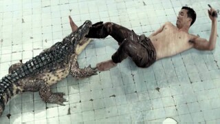 I Explained The Pool (2018) Film, where a Man Locked in a Pool with a Crocodile हिन्दी