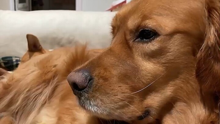 The child is a rebellious