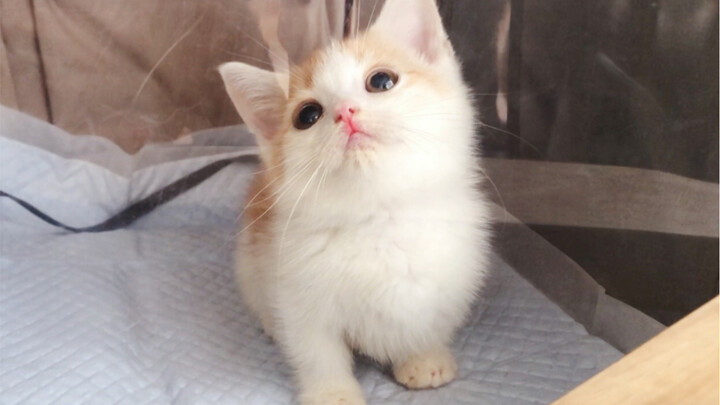 New member’s here—milk supply at 100%!