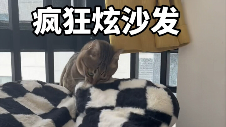 Langsung pamer sofa kalau nggak satu kata