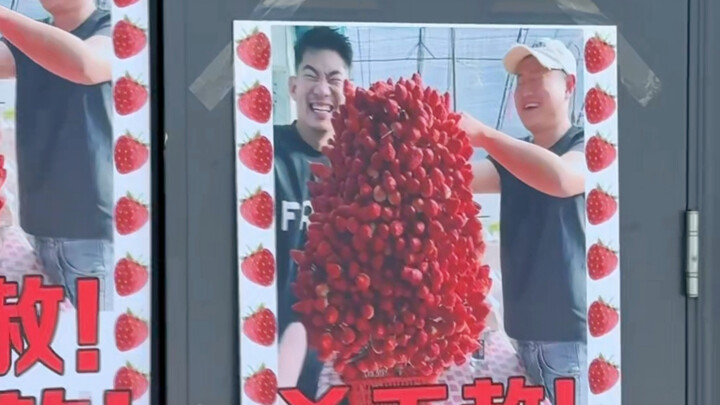 «Dâu Tây Hận Hận Hận» đang được cập nhật liên tục