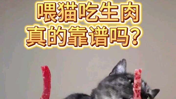 ها قد جاء الدليل الشامل لطريقة إطعام القطط اللحوم النيئة! أخيرًا تمكنتُ من تغذية قطتي بالعظام واللحو