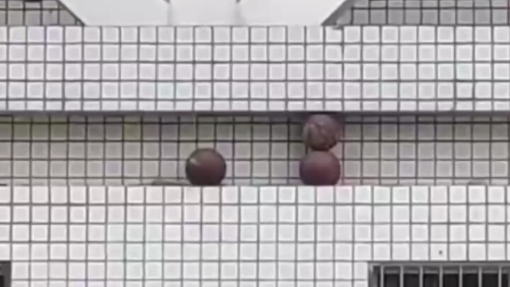 男 人 的 快 乐