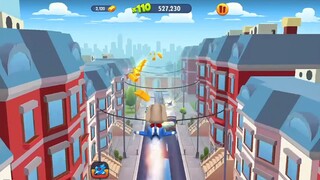 Chó ben chạy cung đường mới kỉ lục mới