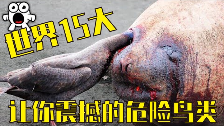 คุณว่าเจ้านกน่ารักใช่ไหม? ดูจบแล้วจะไม่กล้ามองนกอีกเลย!