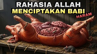 Jika Babi Haram, Kenapa Allah Menciptakan Babi❓️ Jawaban Quran Mengejutkan