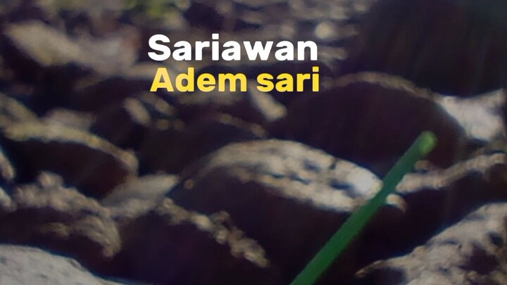 wkwkw sambil nunggu Naruto Start 12.17.2022 nya rilis