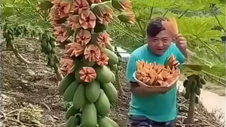 Reverse delivery