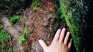 [Remix]Điểm lại 8 màn ngụy trang siêu đỉnh trong phim điện ảnh
