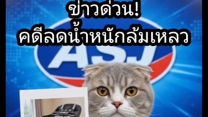 ‎[สำนักข่าว ASUJIAI] ข่าวด่วน! คดีลดน้ำหนักล้มเหลว  #asujiai #funny #cat #dog
