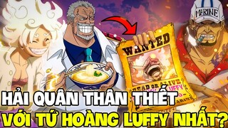 GARP VỀ PHE LUFFY?! | NHỮNG HẢI QUÂN THÂN THIẾT VỚI TỨ HOÀNG LUFFY NHẤT?!