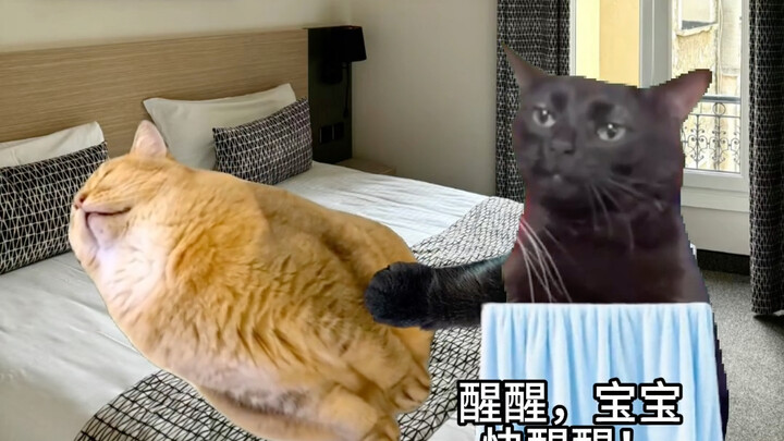 第一次外出和男友住酒店但是我昏睡过去了