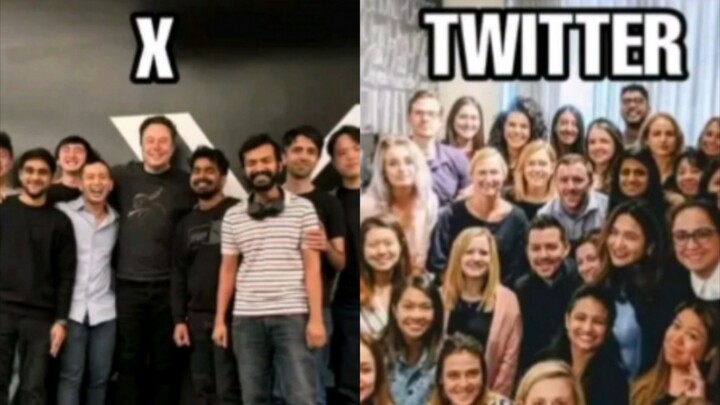 Twitter's Staff Changes After Musk Takes Over (Supplement)