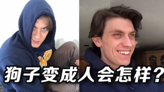 如果不同品种的狗子变成人，它们的日常是啥样的？